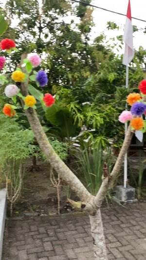 Warna warni 17 Agustus lur hehehe .., giana suasana kaloq di kampung mu #agustus  #seru #asyik #bojonegoro #jedamergawe  #fyp  #RCTIPlus  #H