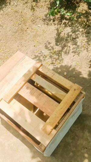 Sold Out Otw Riau #peternakmuda #menthokjumbo #muscovyduck