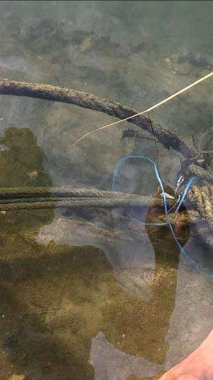 teknik mancing orang jaman dulu #udang #nelayan #laut #jaring #ikan #fbpro #reels #reelsviral #duniaikan #skils #fyp #trending