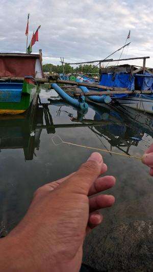 menangkap udang dari jarak jauh #fishing #shrimp #fish #sea #traditional #usareels #UnitedStates #reelsviral #skils #fyp #trending