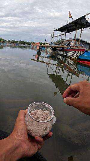 cara cepat nangkap udang #fishing #shrimp #fish #sea #traditional #usareels #UnitedStates #reelsviral #skils #fyp #trending