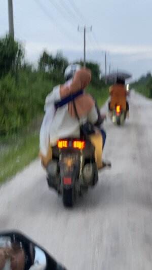 cari durian montong #video sehari hari