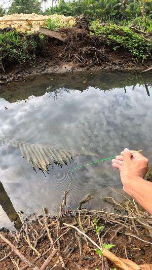 cara nenek moyang nangkap udang #mancing #fishing #shrimp #udang #nelayan #laut #jaring #ikan #reelsviral #animals #skill #fyp #trending