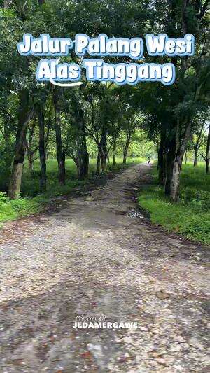 Iki kiro kiro jalan jurusan ngendi lurr #konten #pedesaan #bojonegoro