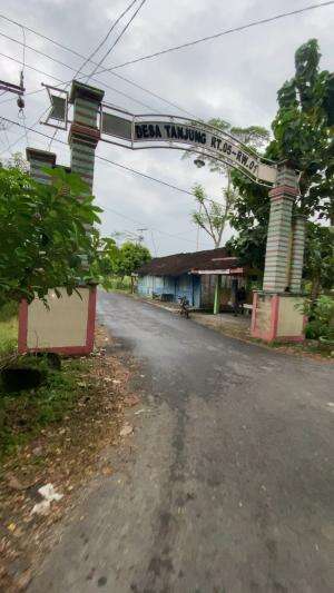 Suasana sore hari di gang masuk desa Tanjung syahdu banget #konten #pedesaan #desaku #bojonegoro 