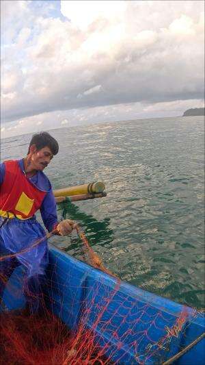 menangkap udang mahal