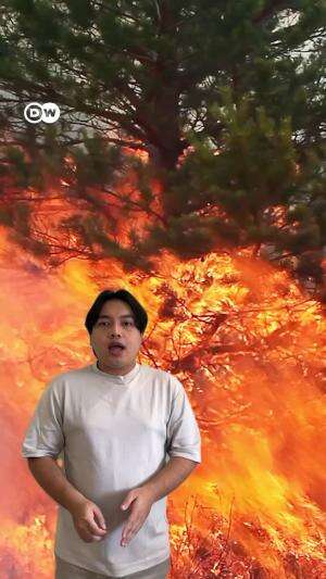 Perubahan iklim atau hanya cuaca 