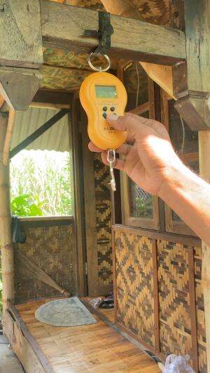 Penimbangan BB kloter 1