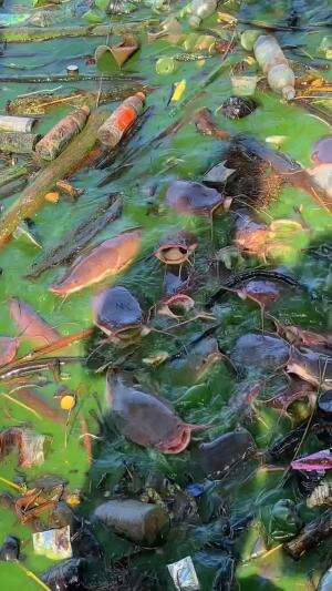 Berhasil membuat filter dari barang bekas