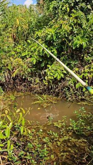 Mancing ikan paling ganas