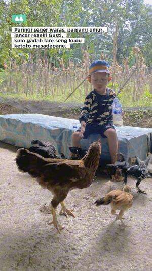 Paringi seger waras, panjang umur, rejeki katah tur halal gusti aminn #quotes  #motivasi #semangat #gigih #sukses #jedamergawe #fyp  #RCTIPl