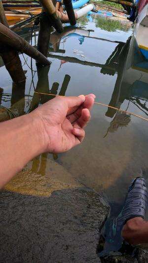 terlalu besar sampe putus #mancing #fishing #shrimp #udang #nelayan #laut #jaring #ikan #reelsviral #animals #skill #fyp #trending