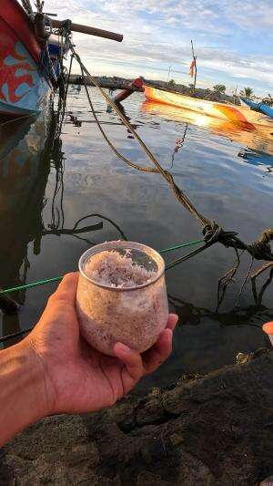 grated coconut #fishing #shrimp #traditional #usa #usareels #UnitedStates #unitedkingdom #denmark #canada