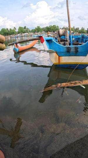 hobi waktu kecil #mancing #fishing #shrimp #udang #nelayan #laut #jaring #ikan #reelsviral #animals #skill #fyp #trending