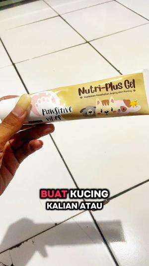 vitamin kucing yang bagus #fyp #fypシ #animefyp 