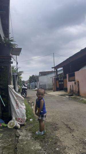 Main sama om ngejar kucing haha