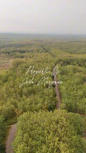 Keindahan Alam hutan jati Bojonegoro #drone #dji #hutan #hutanjati #bojonegoro #jedamergawe #fyp #capcut #RCTIPlus  #HOTrctiplus  #RCTIoke  