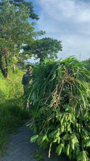 Lebih baik kaya tapi merendah dari pada miskin tapi meroket 😀awal tahun 2025
