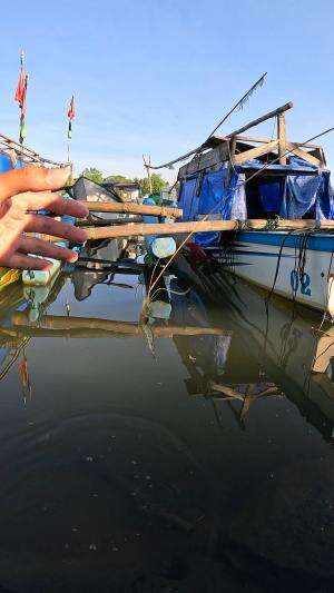teknik khas daerah sini #mancing #fishing #shrimp #udang #nelayan #laut #jaring #ikan #reelsviral #animals #skill #fyp #trending