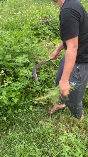 bersihin rumah papa guys biar bersih enak di lihat😘tenang di surga ya pah al fatihah🤲🏻