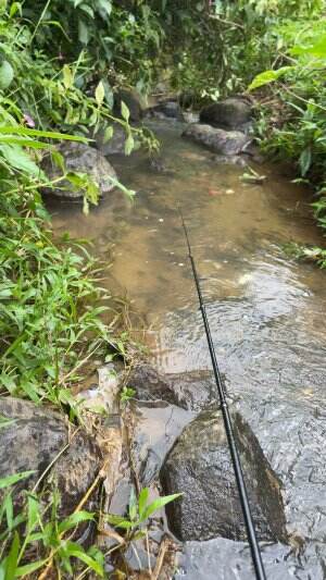 Memancing dipersawahan jp ikan berwarna emas #petualangan #mancing #mancingikan