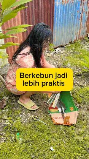 Berkebun  #kebunmini