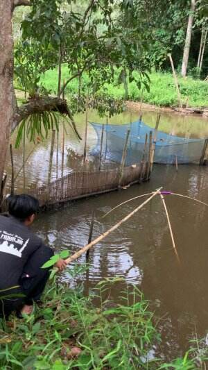 Dapat ikan sepat