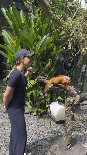 Bali Reptile Park 