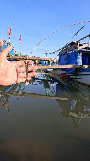 mancing si udang hitam