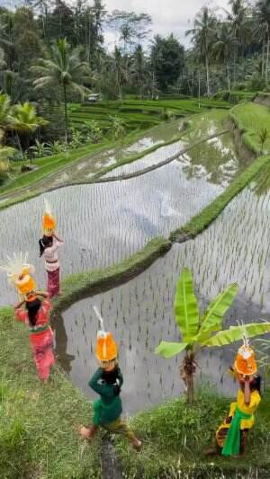 Bali di kenal dengan keindahan alamnya yang memukau dan budaya yang kaya, salah satu ciri khas utama dari Bali. 
