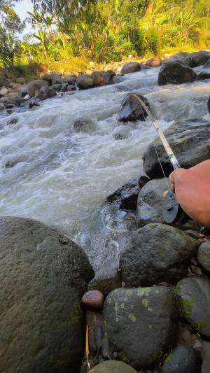 Mancing ikan penguni arus deras