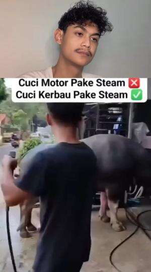 kerbau wash 