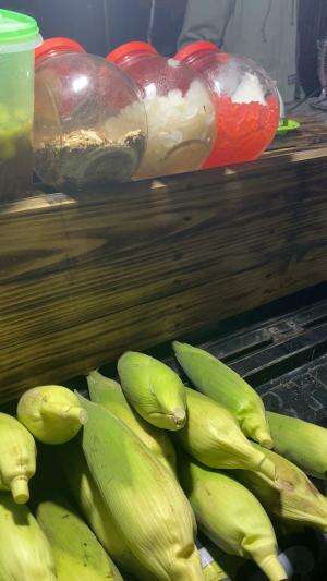 JAGUNG BAKAR YANG GURIH ENAK BANDUNGAN