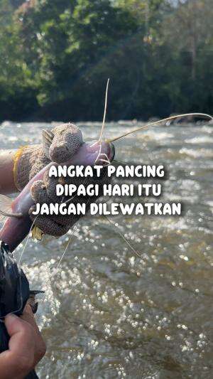 Angkat pancing -pagi-pagi #cariikan