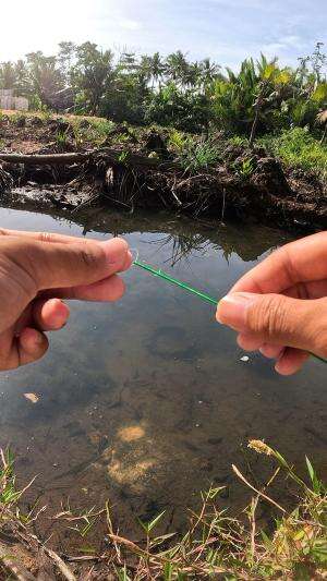teknik legendaris buat nangkap udang #fishing #shrimp #fish #sea #traditional #usareels #UnitedStates #reelsviral #skils #fyp #trending