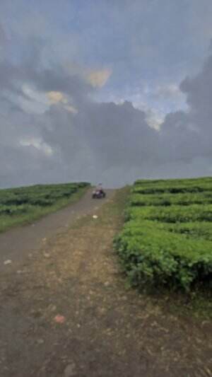 Kebun Teh Sidamanik Siantar. #monetize
 