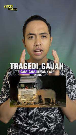 Tragedi Anak Gajah Tertabrak Truk di Malaysia, induk gajah berdiri berjam-jam disamping truk di tengah jalan meratapi anaknya tak bernyawa. 