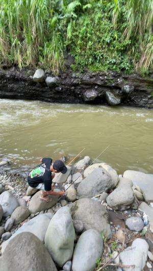 Tiba tiba ada burung hantu pas lagi mancing 
