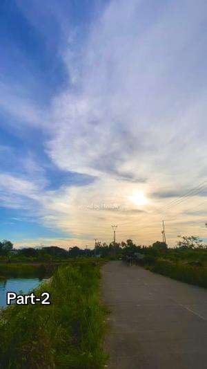 Part 2 jalan sore Reino liat Kerbau Mandi