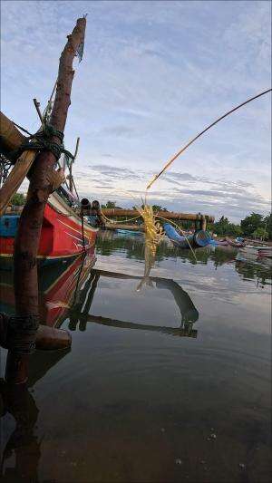 seni memancing udang kecil