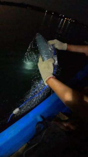 wow dapet ikan bandeng gede bangettt