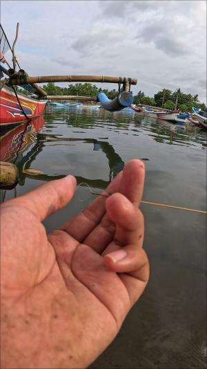 mancing udang tradisional #mancing #fishing #shrimp #udang #nelayan #laut #jaring #ikan #reelsviral #animals #skill #fyp #trending