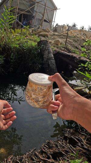 catching shrimp in the water channel #fishing #traditional #usa #usareels #UnitedStates #unitedkingdom #denmark #canada