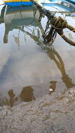 teknik legendaris #fishing #shrimp #traditional #usa #usareels #UnitedStates #unitedkingdom #denmark #canada