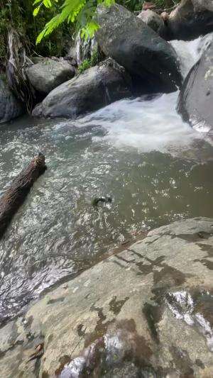Nekat mancing pakai joran super lentur