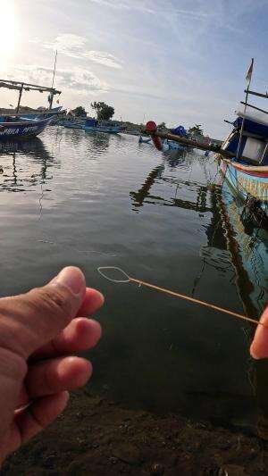 how to catch shrimp super fast and easy #fishing #usa #usareels #UnitedStates #unitedkingdom #denmark #canada