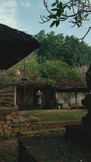 Tenganan Pegringsingan, Bali