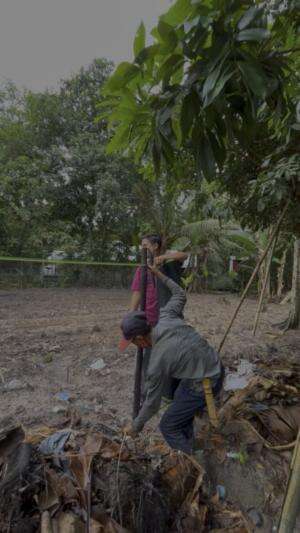 Ngandangin kebun pakai waring