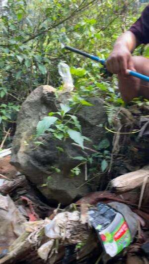 Ikan melimpah tapi susah dipancing #cariikan