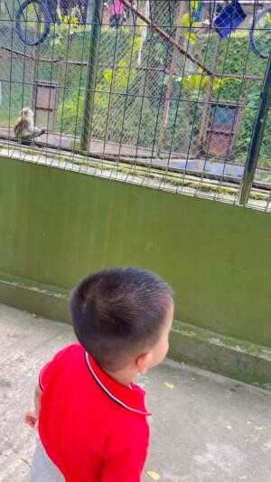 Zoo part 2